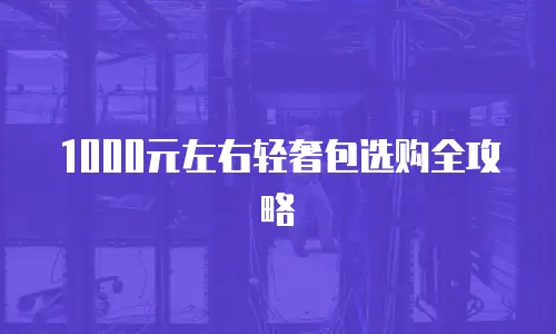 1000元左右轻奢包选购全攻略