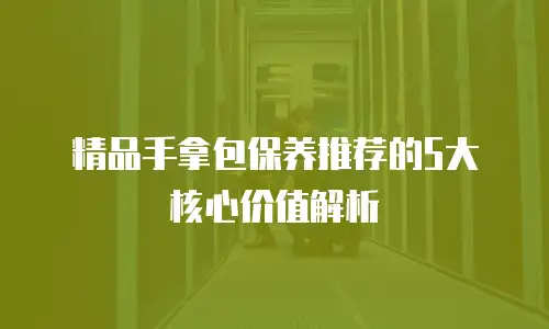 精品手拿包保养推荐的5大核心价值解析