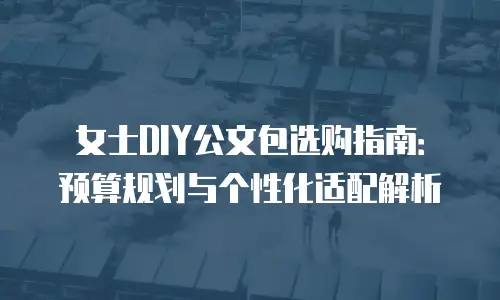 女士DIY公文包选购指南：预算规划与个性化适配解析