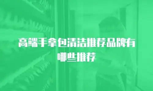 高端手拿包清洁推荐品牌有哪些推荐
