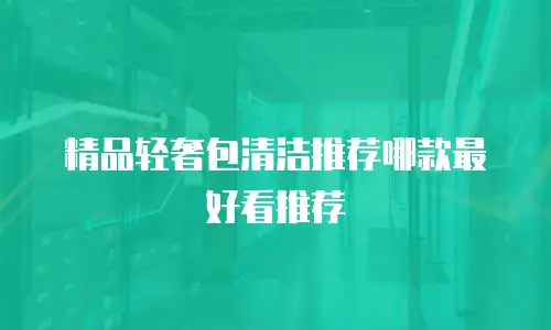 精品轻奢包清洁推荐哪款最好看推荐
