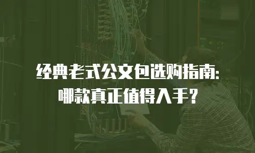 经典老式公文包选购指南：哪款真正值得入手？