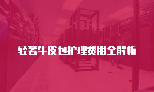 轻奢牛皮包护理费用全解析