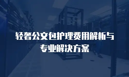 轻奢公文包护理费用解析与专业解决方案