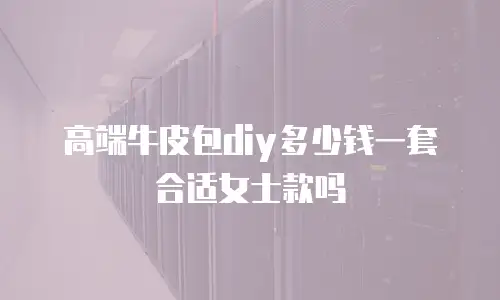 高端牛皮包diy多少钱一套合适女士款吗