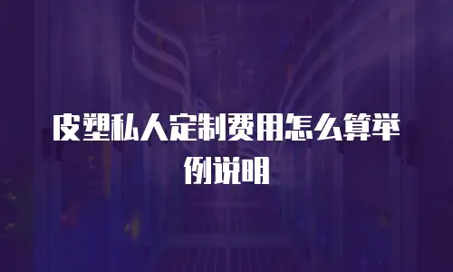 皮塑私人定制费用怎么算举例说明