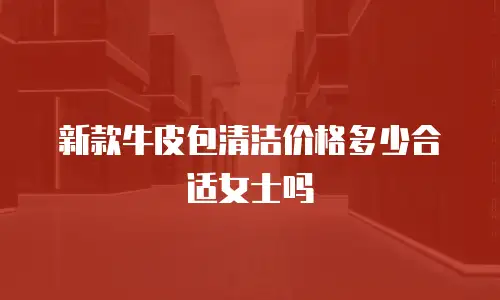 新款牛皮包清洁价格多少合适女士吗