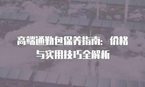 高端通勤包保养指南：价格与实用技巧全解析