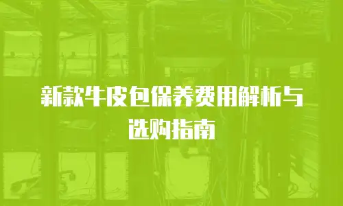 新款牛皮包保养费用解析与选购指南