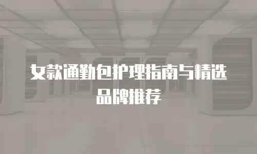 女款通勤包护理指南与精选品牌推荐