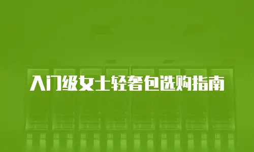 入门级女士轻奢包选购指南