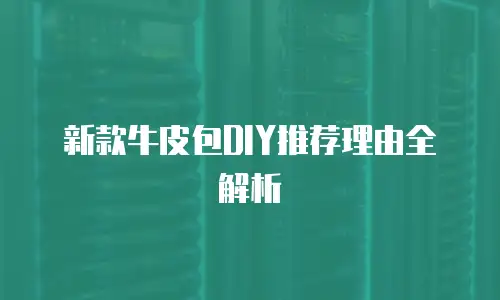 新款牛皮包DIY推荐理由全解析