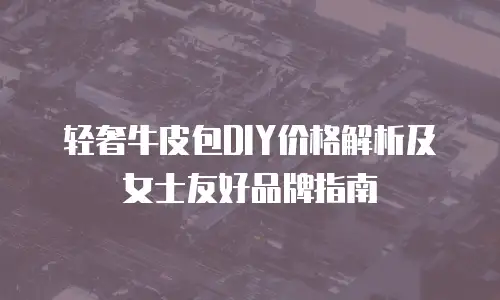 轻奢牛皮包DIY价格解析及女士友好品牌指南