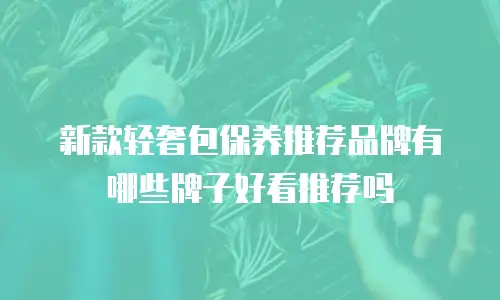 新款轻奢包保养推荐品牌有哪些牌子好看推荐吗
