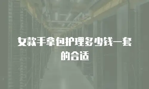 女款手拿包护理多少钱一套的合适