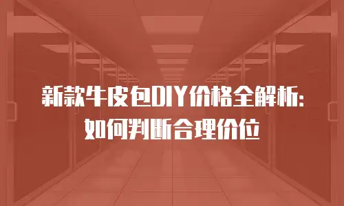 新款牛皮包DIY价格全解析：如何判断合理价位