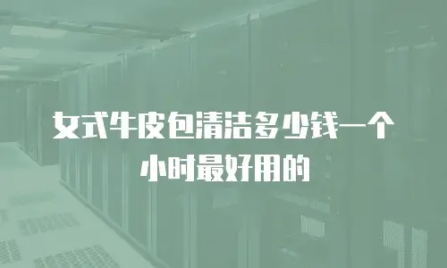女式牛皮包清洁多少钱一个小时最好用的