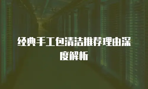 经典手工包清洁推荐理由深度解析