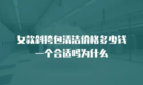 女款斜挎包清洁价格多少钱一个合适吗为什么