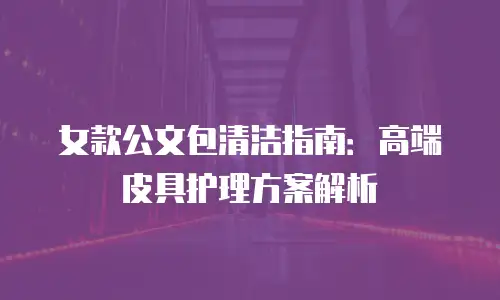 女款公文包清洁指南：高端皮具护理方案解析