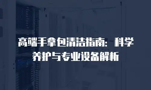 高端手拿包清洁指南：科学养护与专业设备解析