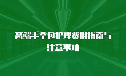 高端手拿包护理费用指南与注意事项