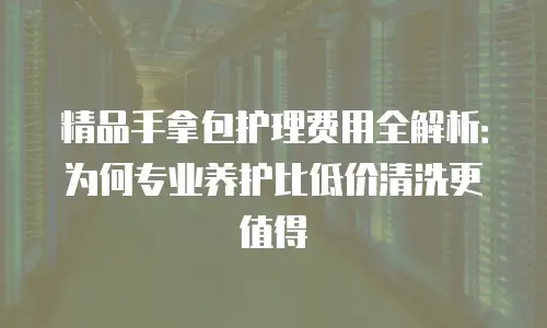 精品手拿包护理费用全解析：为何专业养护比低价清洗更值得