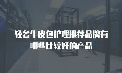 轻奢牛皮包护理推荐品牌有哪些比较好的产品