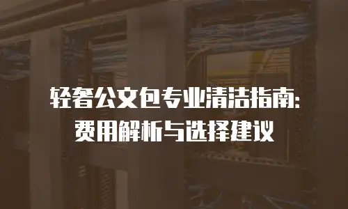 轻奢公文包专业清洁指南：费用解析与选择建议