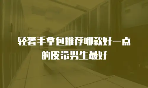 轻奢手拿包推荐哪款好一点的皮带男生最好