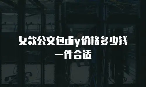 女款公文包diy价格多少钱一件合适