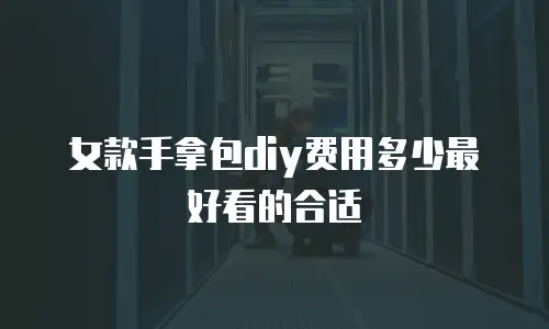 女款手拿包diy费用多少最好看的合适