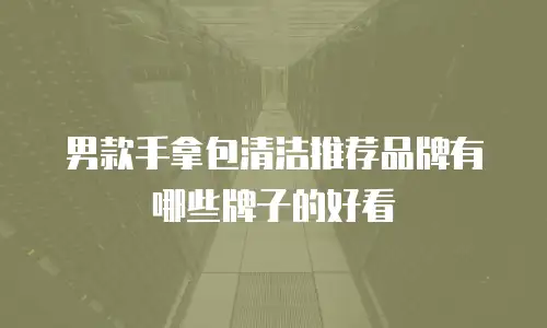 男款手拿包清洁推荐品牌有哪些牌子的好看