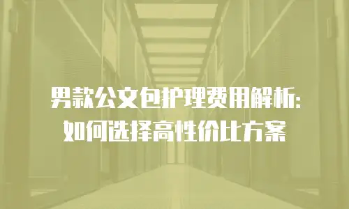 男款公文包护理费用解析：如何选择高性价比方案