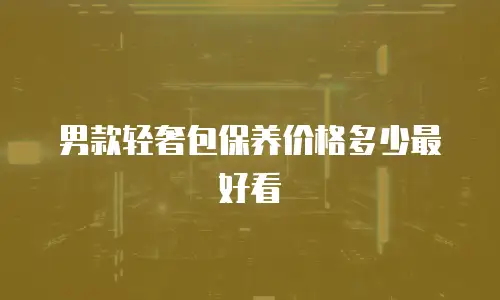 男款轻奢包保养价格多少最好看