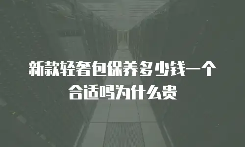 新款轻奢包保养多少钱一个合适吗为什么贵