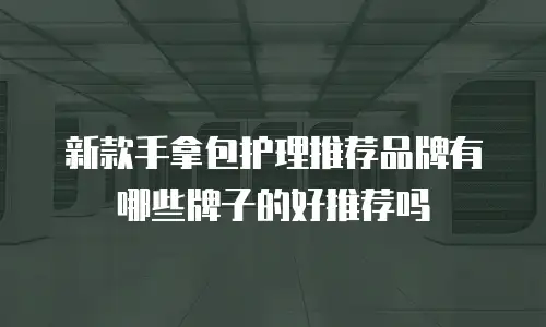 新款手拿包护理推荐品牌有哪些牌子的好推荐吗
