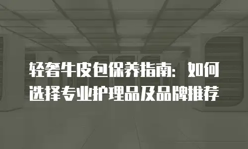 轻奢牛皮包保养指南：如何选择专业护理品及品牌推荐
