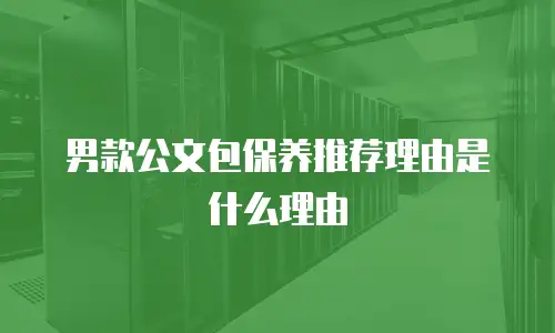 男款公文包保养推荐理由是什么理由