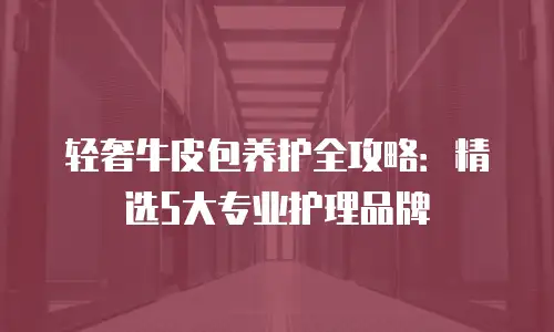 轻奢牛皮包养护全攻略：精选5大专业护理品牌