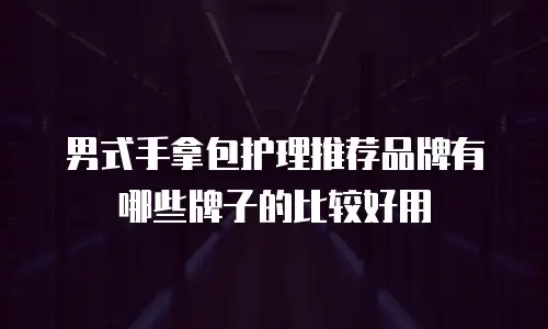 男式手拿包护理推荐品牌有哪些牌子的比较好用