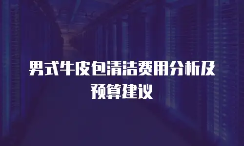 男式牛皮包清洁费用分析及预算建议