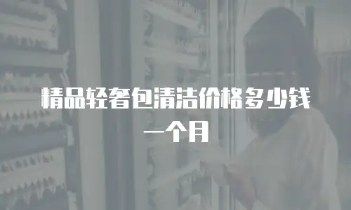 精品轻奢包清洁价格多少钱一个月