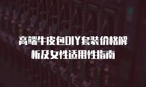 高端牛皮包DIY套装价格解析及女性适用性指南