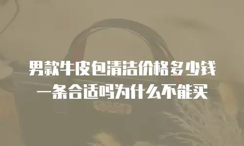 男款牛皮包清洁价格多少钱一条合适吗为什么不能买