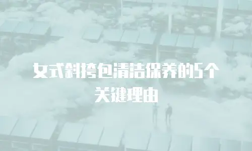 女式斜挎包清洁保养的5个关键理由