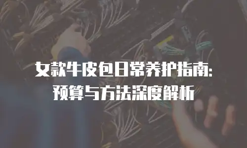 女款牛皮包日常养护指南：预算与方法深度解析