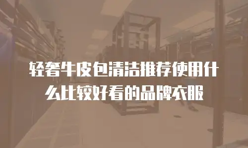 轻奢牛皮包清洁推荐使用什么比较好看的品牌衣服