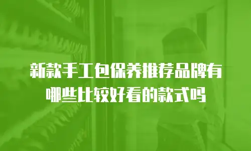新款手工包保养推荐品牌有哪些比较好看的款式吗
