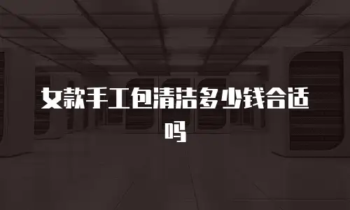 女款手工包清洁多少钱合适吗